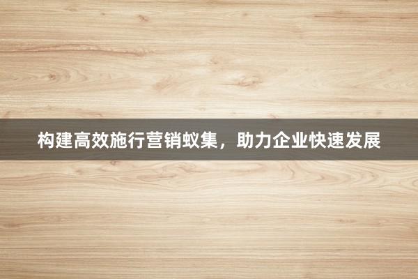 构建高效施行营销蚁集，助力企业快速发展